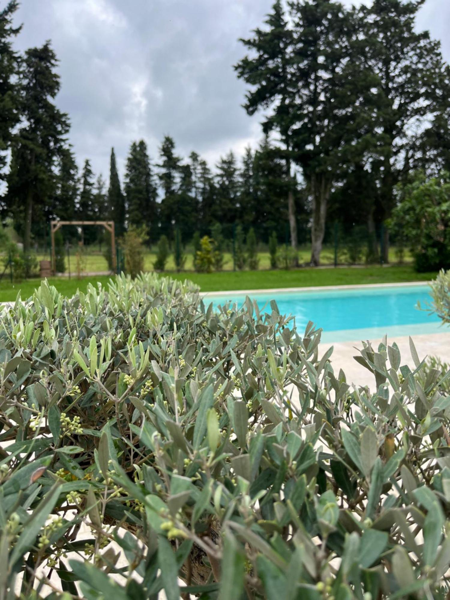 Le Mas Mila Monteux Extérieur photo