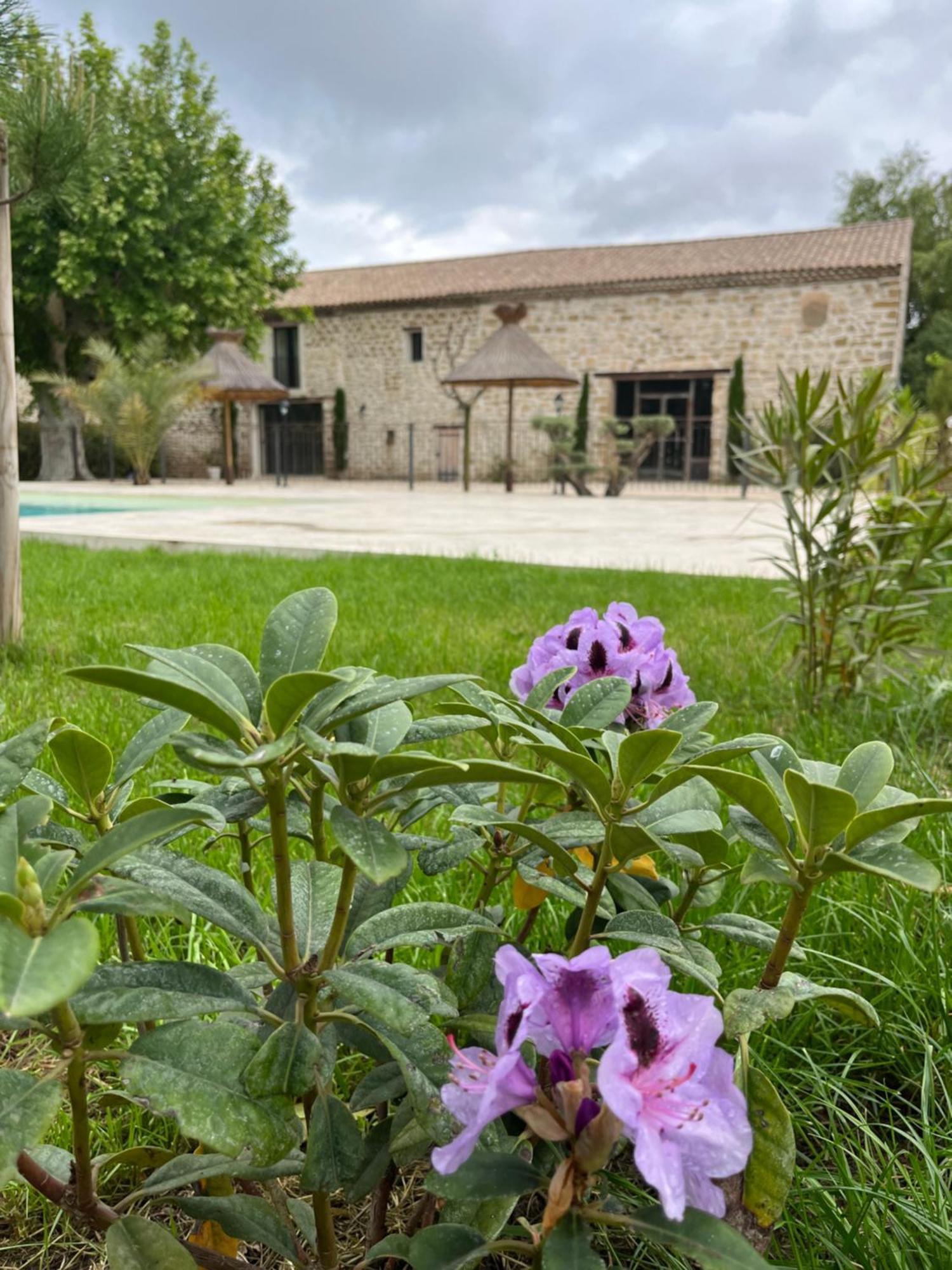 Le Mas Mila Monteux Extérieur photo