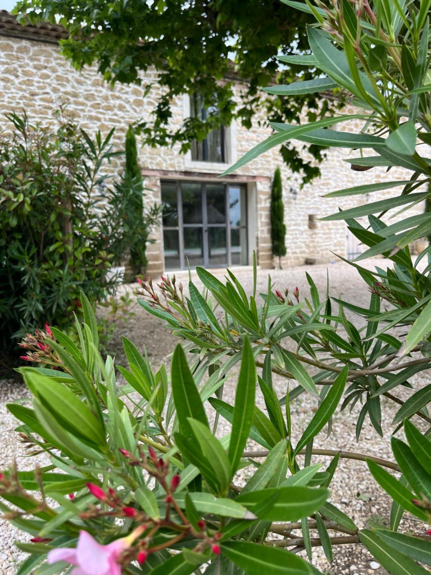 Le Mas Mila Monteux Extérieur photo